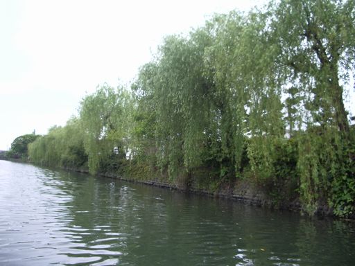 c0144683_7174396.jpg