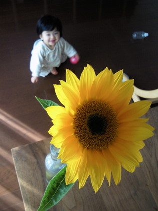 e0142283_0164090.jpg