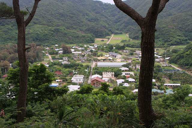 b0115085_111616100.jpg