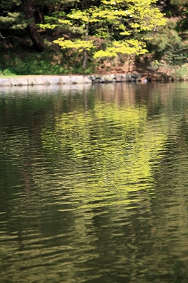 e0190885_1862547.jpg