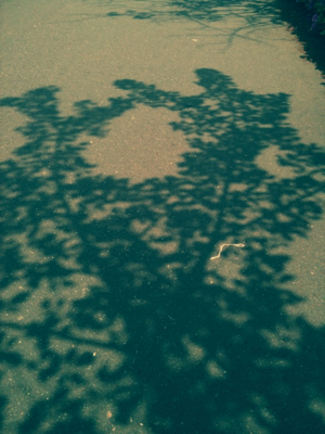 e0159287_14244281.jpg