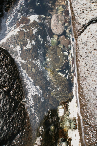 f0093592_23524315.jpg