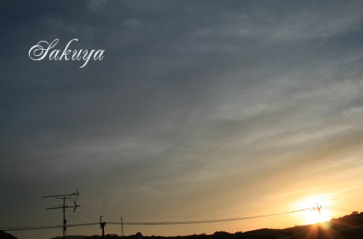 e0122194_1333616.jpg