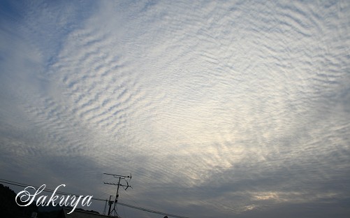 e0122194_1491745.jpg