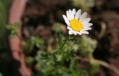 d0100095_11494547.jpg