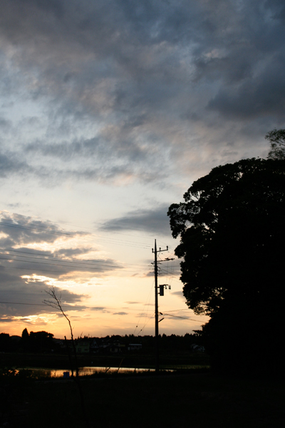 d0100095_21105014.jpg