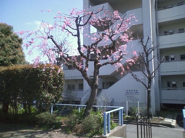 a0021796_11315189.jpg