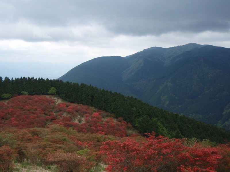 b0039898_231416.jpg