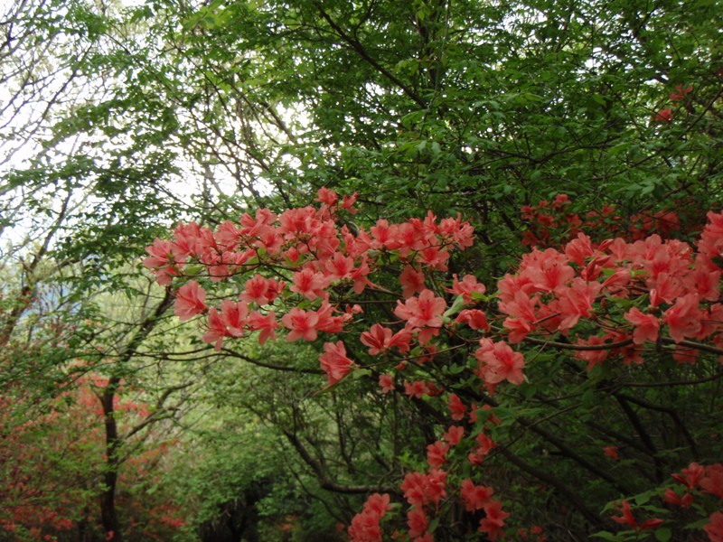 b0039898_2314870.jpg