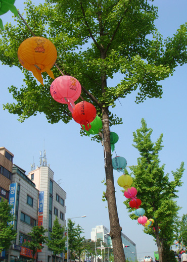 e0166398_23504835.jpg