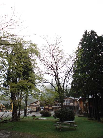 a0061599_723329.jpg