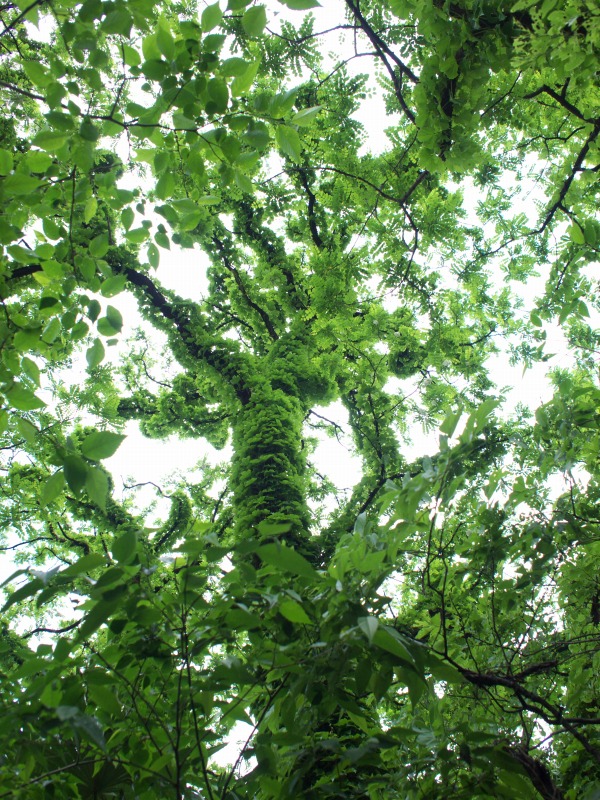 f0224100_513571.jpg