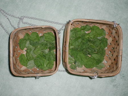 f0239100_823119.jpg