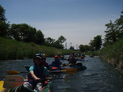 a0121502_196571.jpg