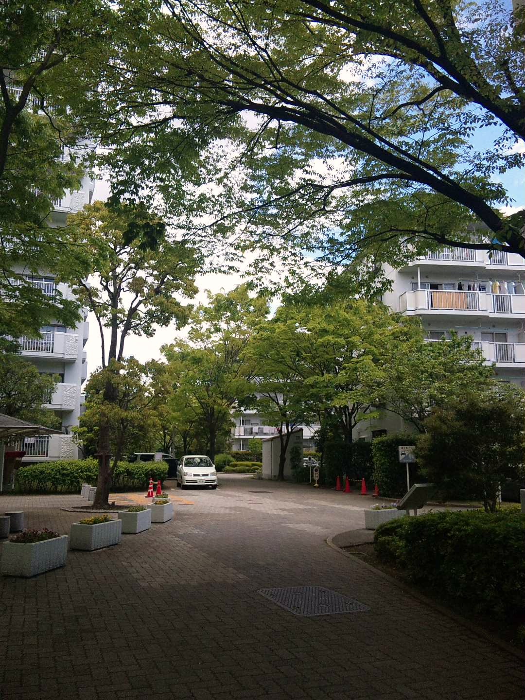 f0034602_1943540.jpg