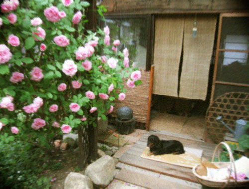 d0077603_8234071.jpg