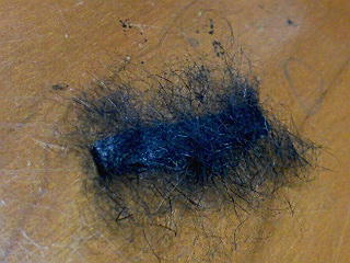 f0164503_14161446.jpg