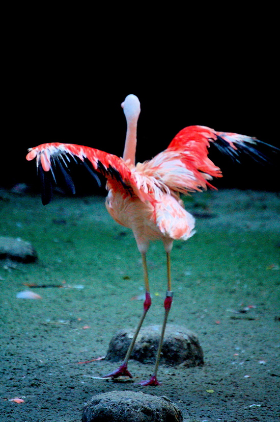 a0157704_13841100.jpg