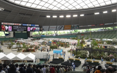 f0065604_2025150.jpg