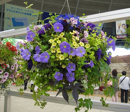 f0065604_203031.jpg