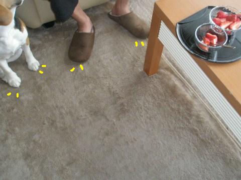 c0205806_1601673.jpg