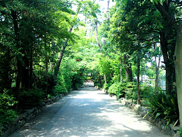 e0180607_14165479.jpg
