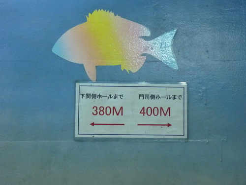 b0052108_002218.jpg