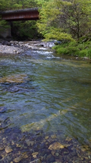 c0060308_1513461.jpg