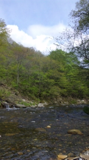 c0060308_151698.jpg