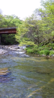 c0060308_152774.jpg