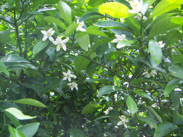 f0173908_13542797.jpg