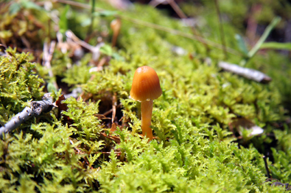 c0177109_18125945.jpg