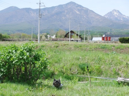 e0078510_21115194.jpg