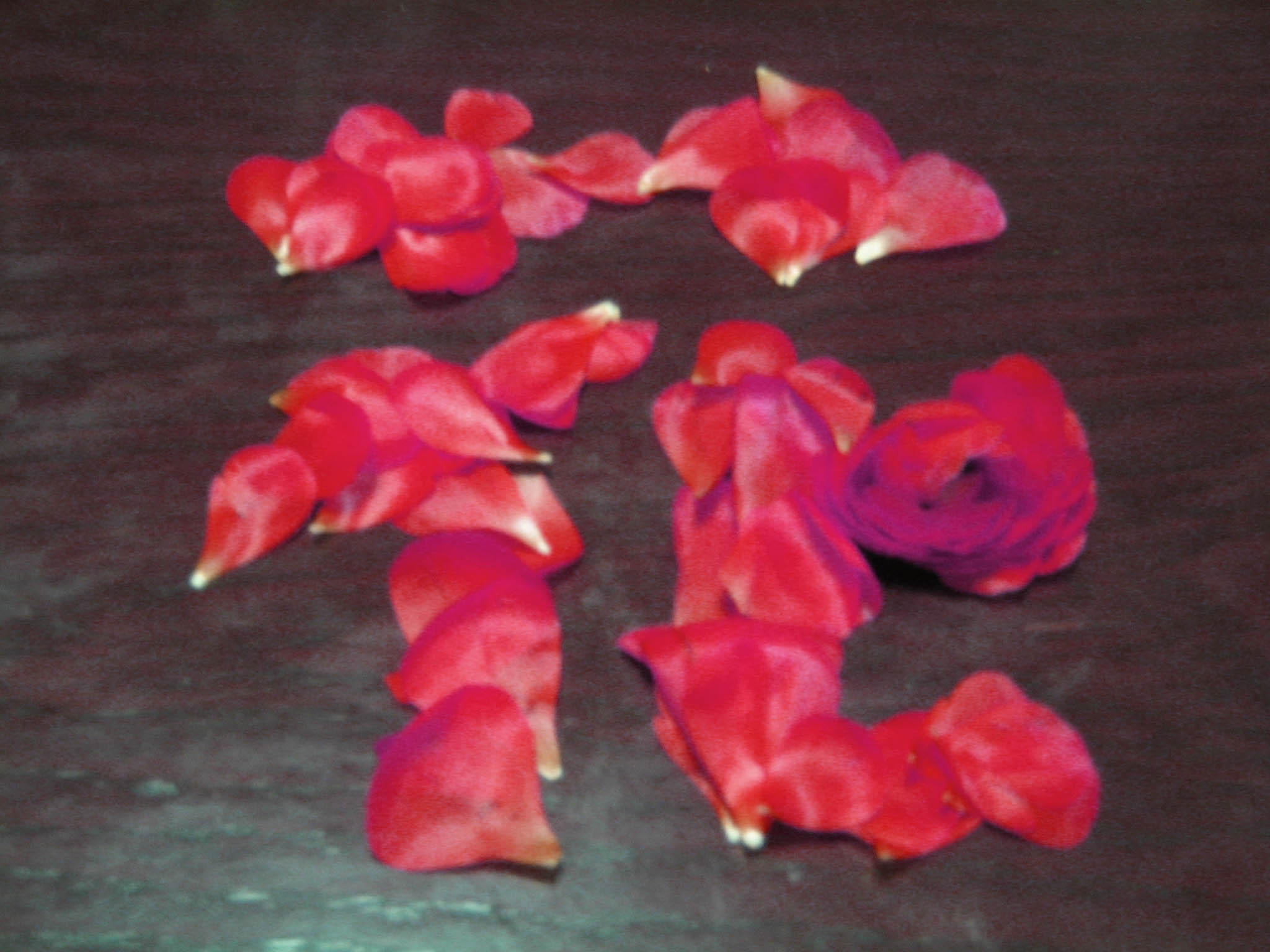 c0219815_22553495.jpg