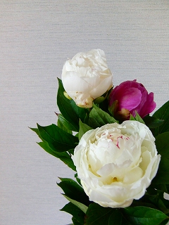 b0073616_20361088.jpg