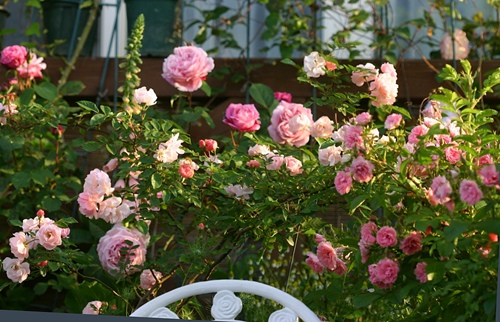 a0067720_20291410.jpg