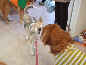 c0012120_21201248.jpg