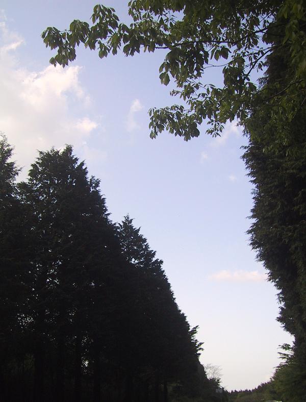 c0097620_19465574.jpg
