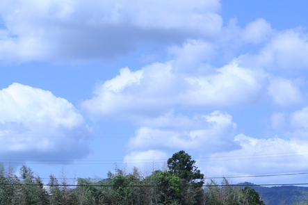 c0197220_1033235.jpg