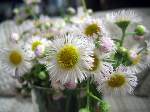 a0037322_15302214.jpg