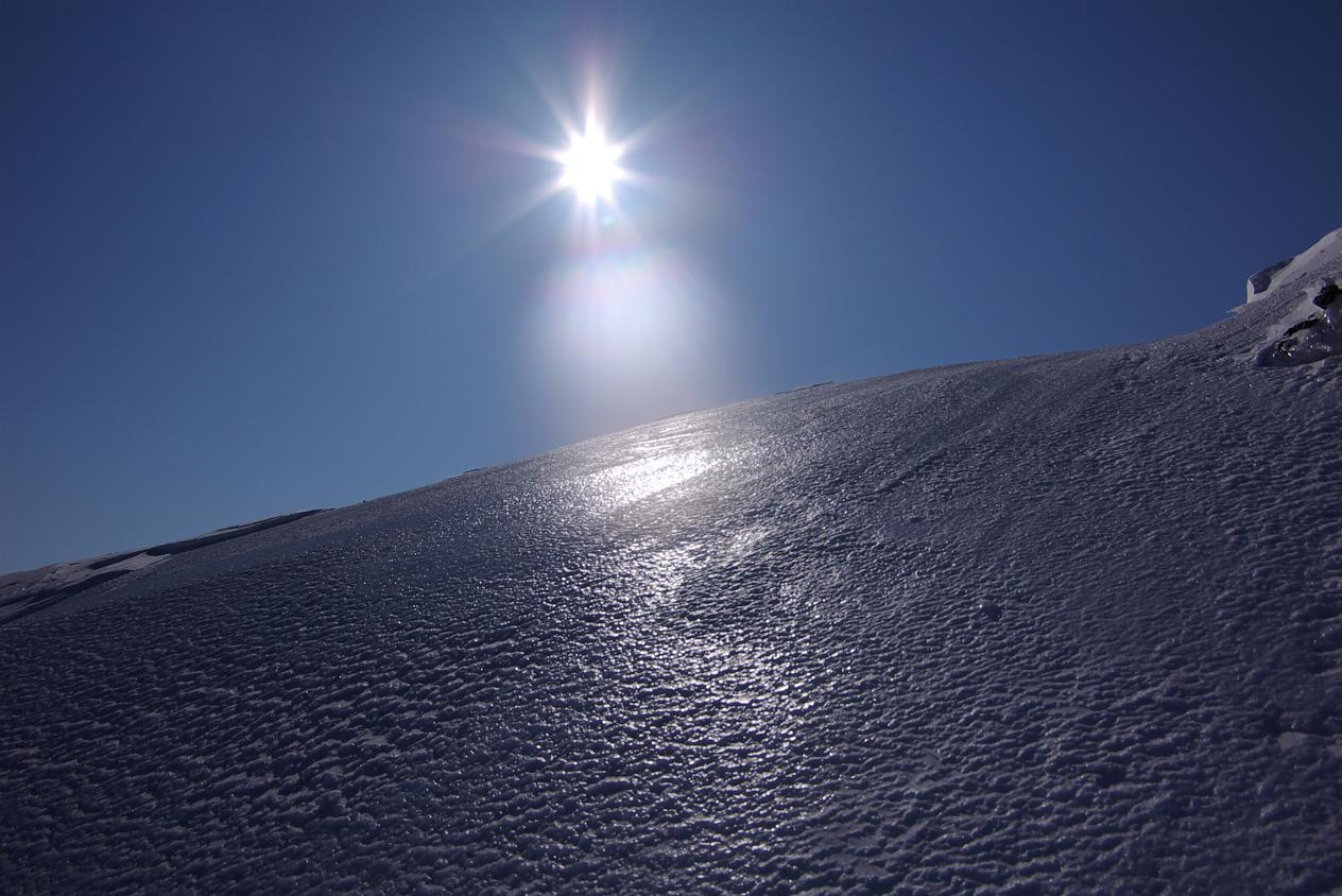 b0062024_98485.jpg