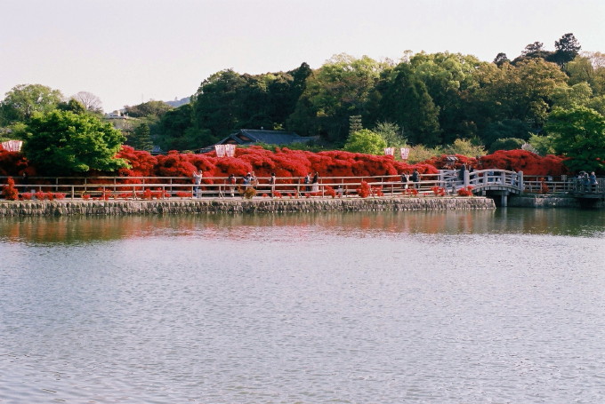 b0132924_21502920.jpg
