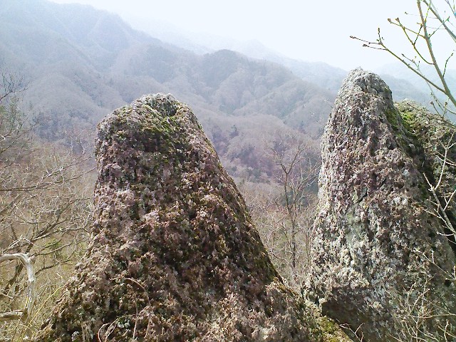 b0184725_23512666.jpg