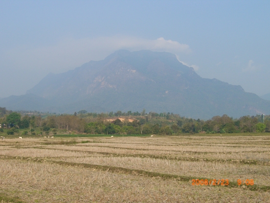 d0159325_22442839.jpg