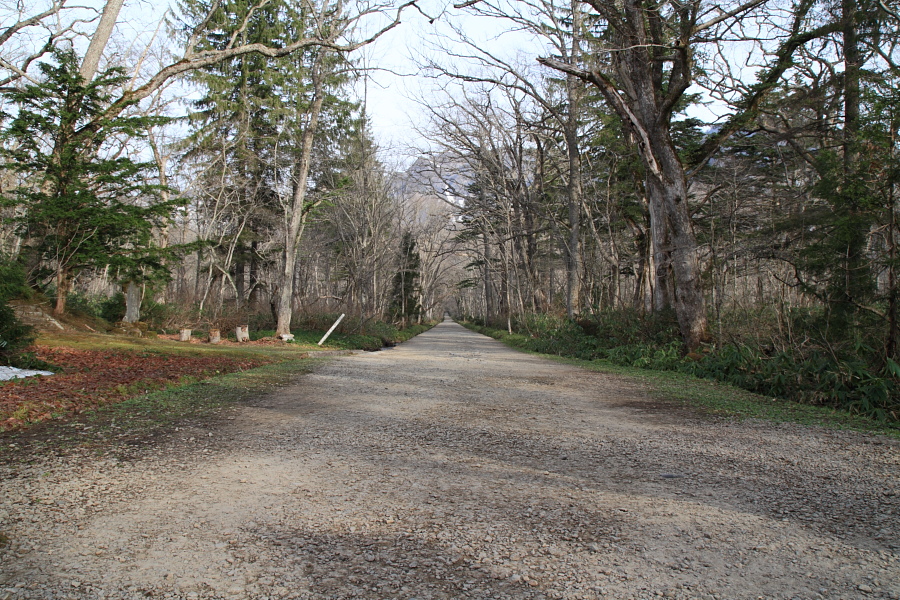 e0044635_15335994.jpg