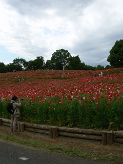 d0107336_10395461.jpg