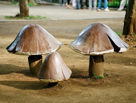 d0141239_062628.jpg