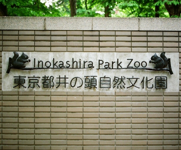 d0141239_095391.jpg