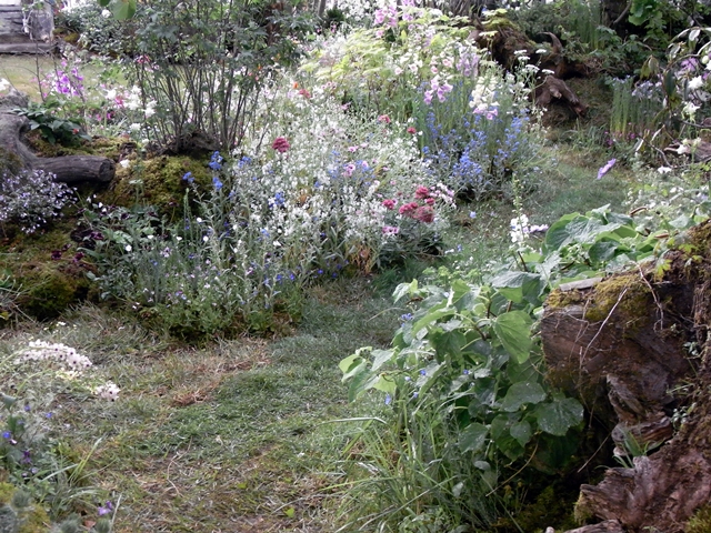 a0169150_03318100.jpg