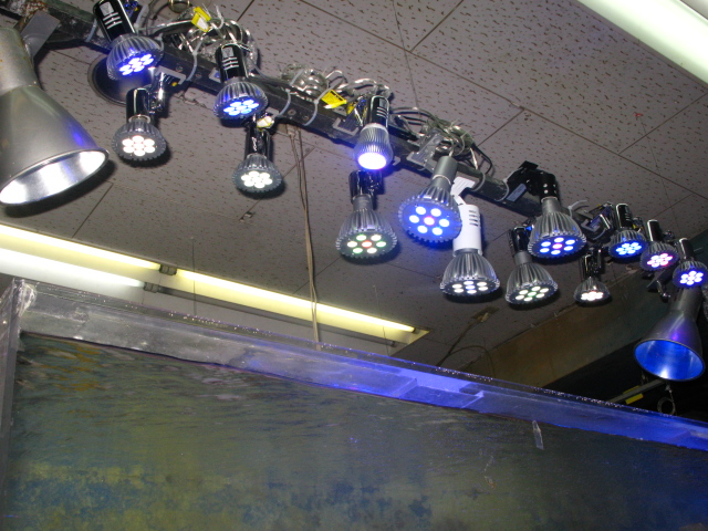 f0198950_2202732.jpg